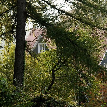 Panoramablick Appartement - Traumhaft! Ober-Hambach Exteriér fotografie
