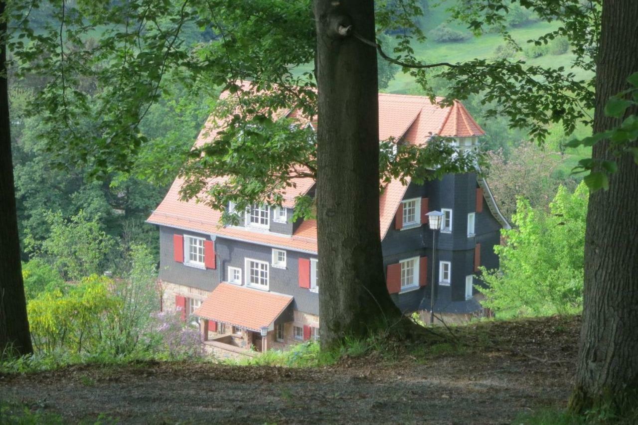 Panoramablick Appartement - Traumhaft! Ober-Hambach Exteriér fotografie